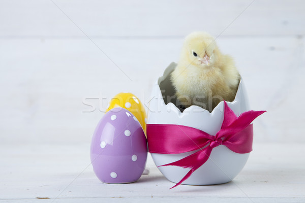 Easter chicken, eggs and decoration on white background Stock photo © BrunoWeltmann