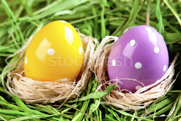 Stock photo: Easter Animals, holiday concept