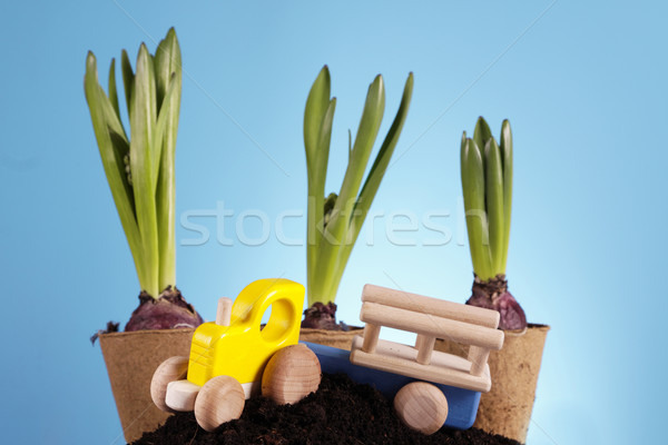 Stock photo: Gardening concept