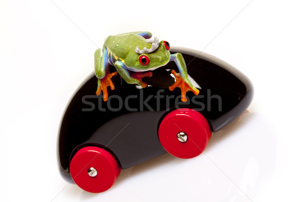 Green Frog in concepts Stock photo © BrunoWeltmann