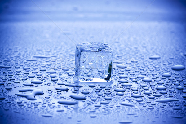 ice cubes in blue background Stock photo © BrunoWeltmann
