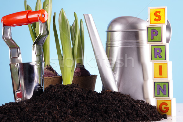 Stock photo: Gardening concept