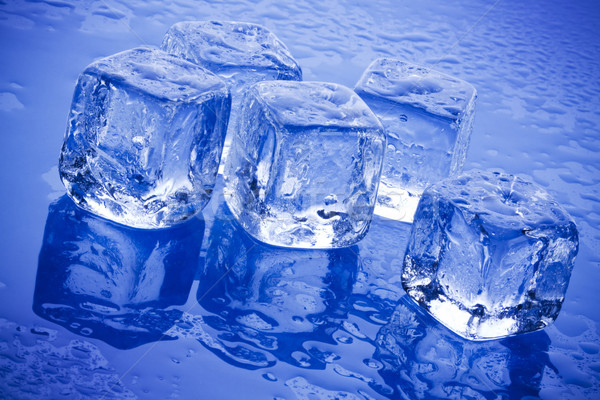 ice cubes in blue background Stock photo © BrunoWeltmann