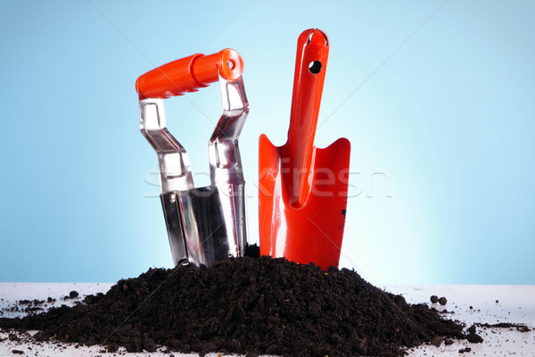 Gardening concept Stock photo © BrunoWeltmann