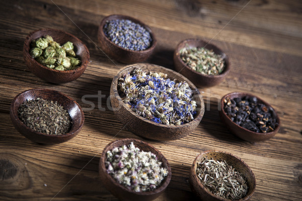 The ancient Chinese medicine Stock photo © BrunoWeltmann