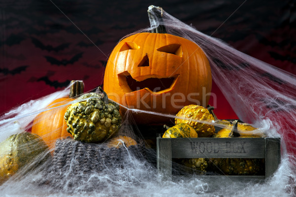 Scary halloween pumpkin Stock photo © BrunoWeltmann