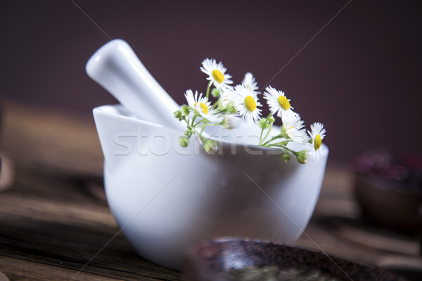 The ancient Chinese medicine Stock photo © BrunoWeltmann