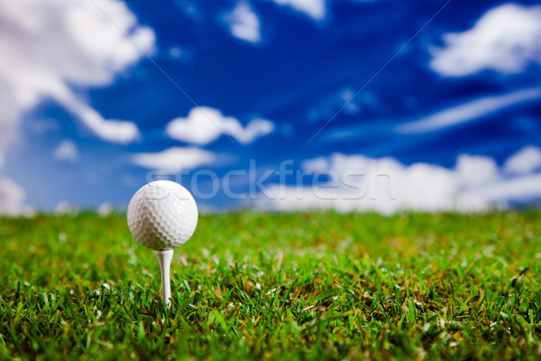 Foto d'archivio: Giocare · golf · pallina · da · golf · erba · verde · erba