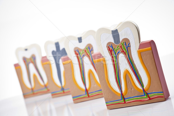 Echipamente dentare dinţi pasă control studio birou Imagine de stoc © BrunoWeltmann