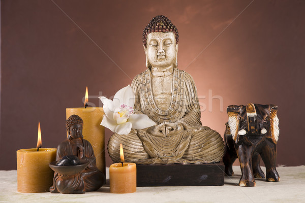 Portré Buddha közelkép stúdiófelvétel virágok szépség Stock fotó © BrunoWeltmann