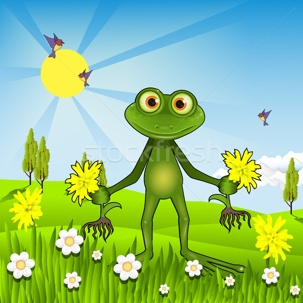 Ilustracja zielone żaba uśmiech Zdjęcia stock © brux