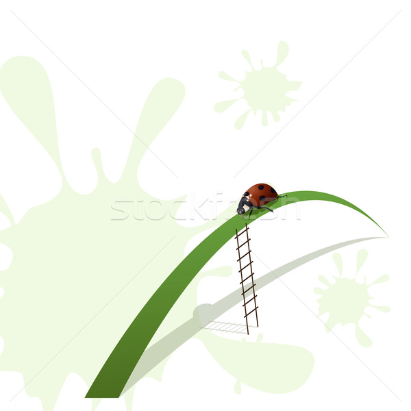 Ladybird and stairway Stock photo © brux