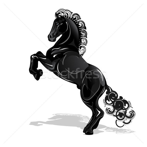 black horse Stock photo © brux