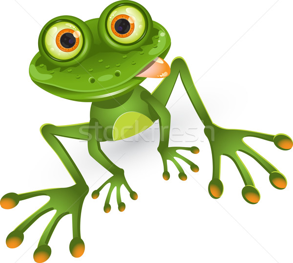 Broască ilustrare vesel verde animal laba Imagine de stoc © brux