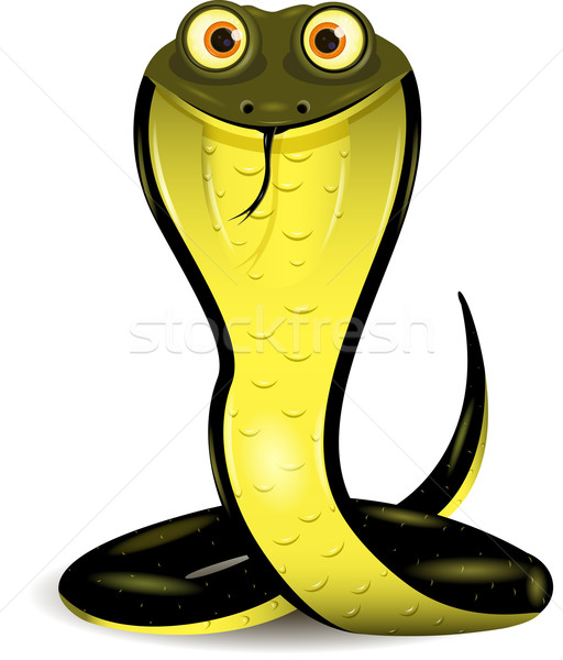 Węża ilustracja czarny kobra wielkie oczy malarstwo Zdjęcia stock © brux