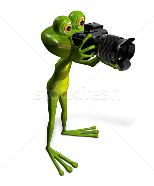 Frog with a camera Stock photo © brux