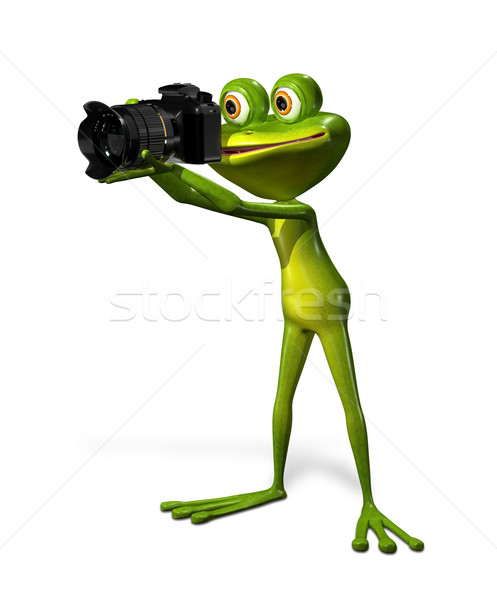 Kurbağa kamera örnek neşeli yeşil doğa Stok fotoğraf © brux