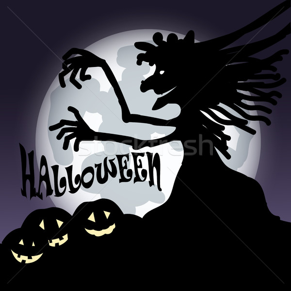 Halloween ilustracja witch księżyc włosy malarstwo Zdjęcia stock © brux