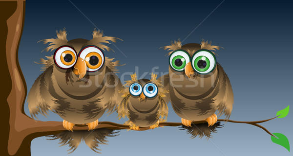 family owls Stock photo © brux