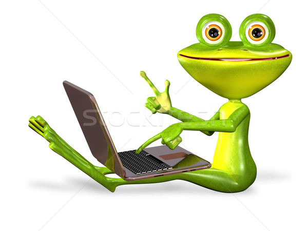 green frog Stock photo © brux