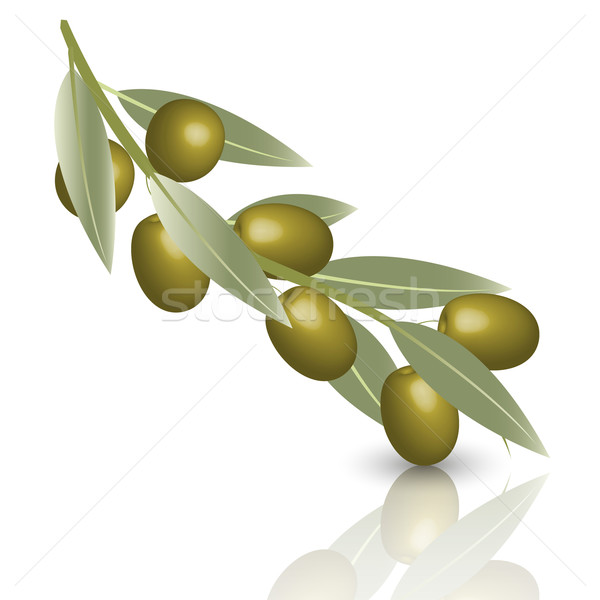 olive Stock photo © brux