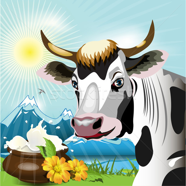 Cow Stock photo © brux