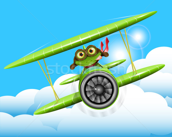 frog pilot Stock photo © brux