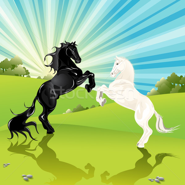 пару лошадей иллюстрация черный лошади пейзаж Сток-фото © brux
