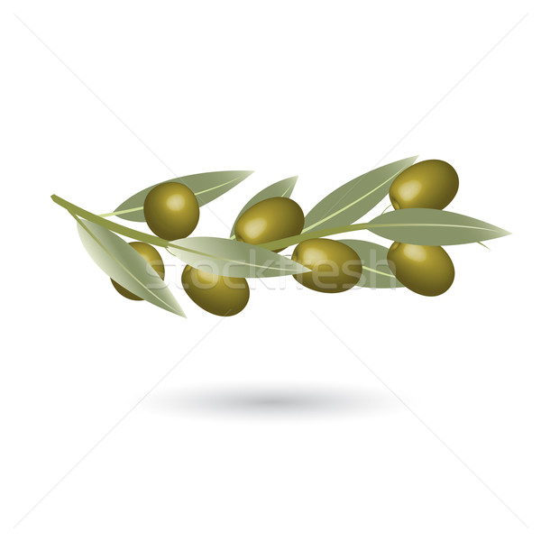 olive Stock photo © brux