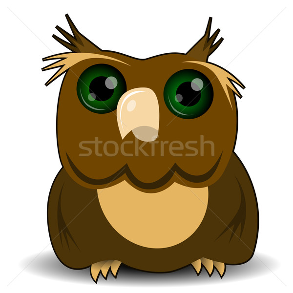 貓頭鷹 插圖 明智 綠色的眼睛 森林 鳥 商業照片 © brux