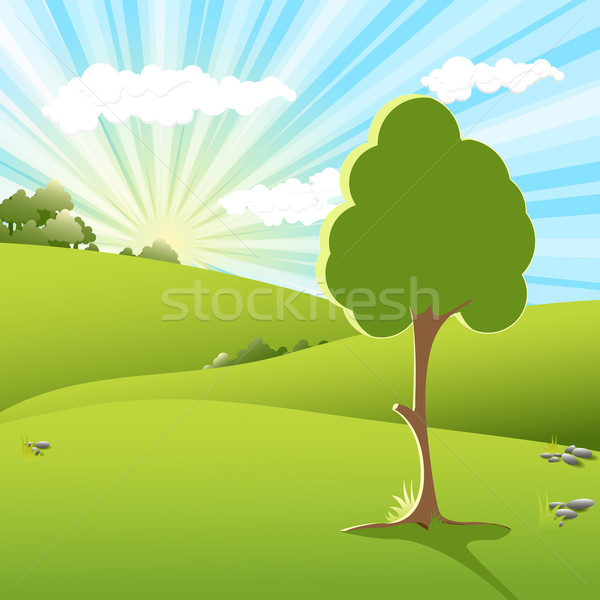 tree an sundown Stock photo © brux