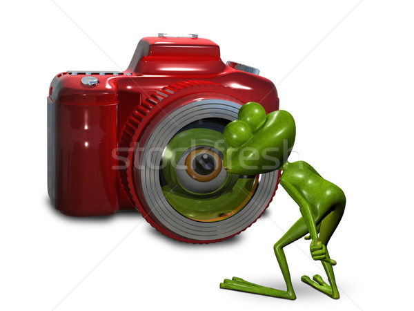 Stock photo: Frog in front of the camera 