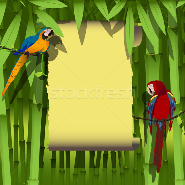 Papagei Illustration zwei hellen Zweig Wald Stock foto © brux