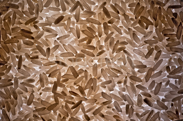 Rizs magvak közelkép textúra természet terv Stock fotó © bryndin