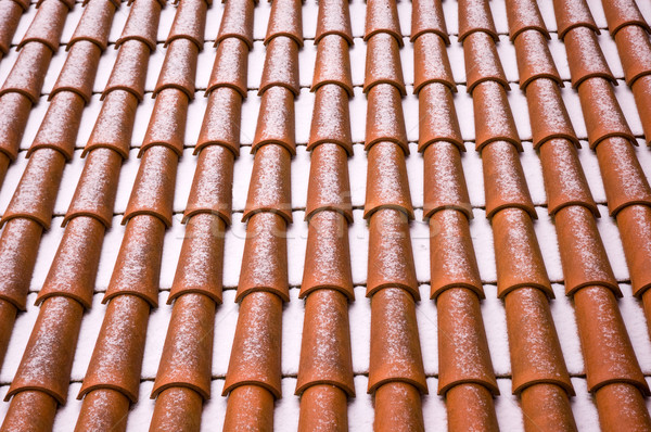 Roof tiles Stock photo © bryndin