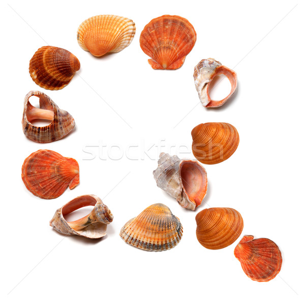 Letter Q composed of seashells Stock photo © BSANI