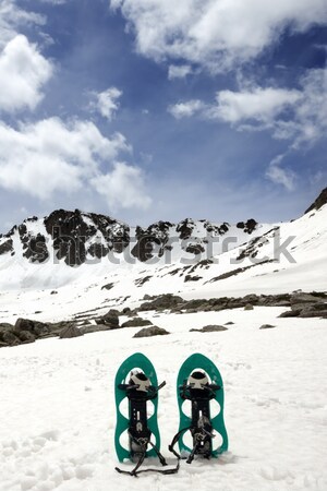Coche parabrisas esquí Resort Foto stock © BSANI