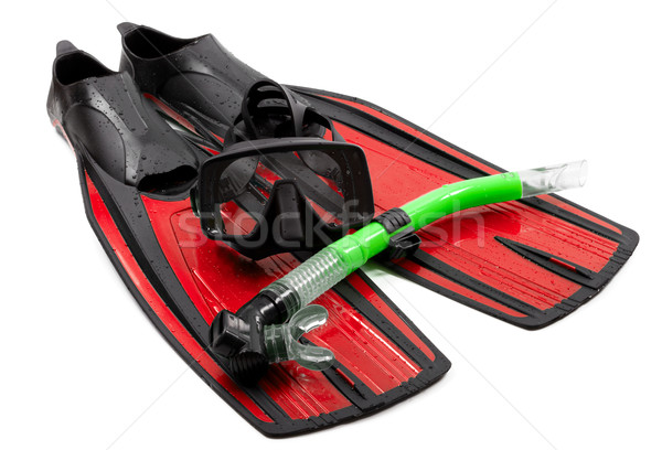 Mask, snorkel and flippers on white background. Stock photo © BSANI