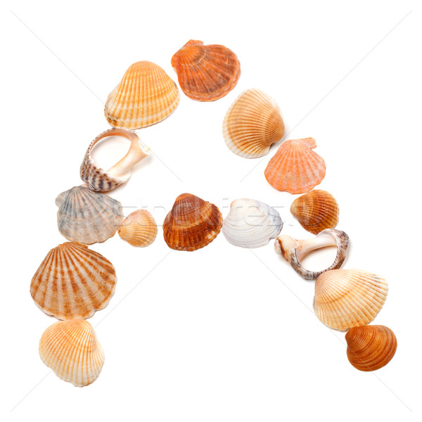 Letter A composed of seashells Stock photo © BSANI