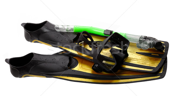 Mask, snorkel and flippers with water drops Stock photo © BSANI