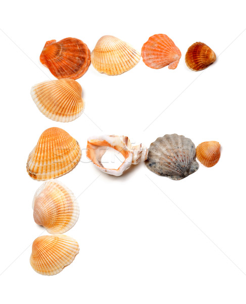 Letter F composed of seashells Stock photo © BSANI