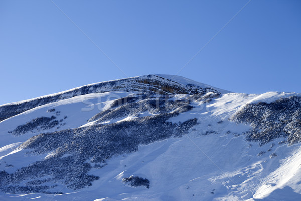 Snowy mountains with track from avalanche after snowfall Stock photo © BSANI