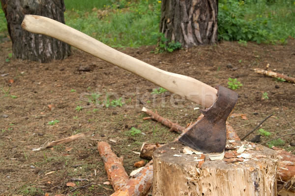 Axe in stump in the clearing in woods Stock photo © BSANI