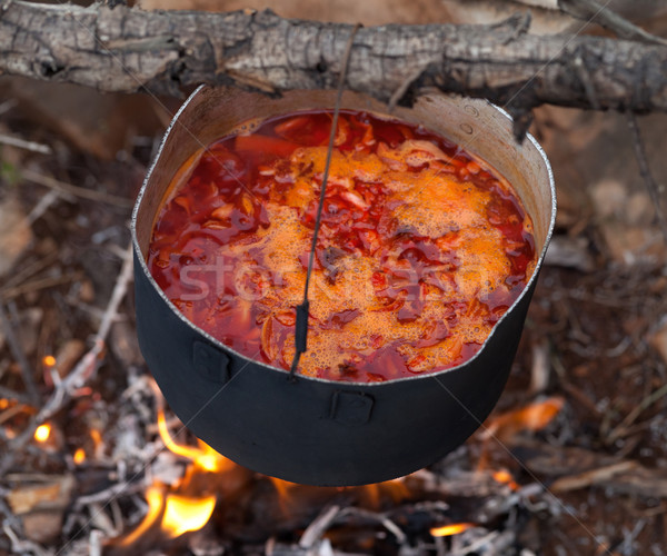 Cooking borscht (Ukrainian traditional soup) on campfire Stock photo © BSANI