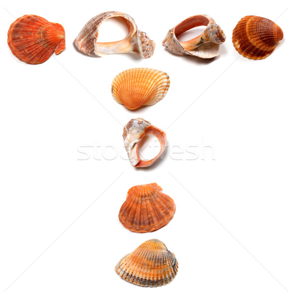 Letter T composed of seashells Stock photo © BSANI