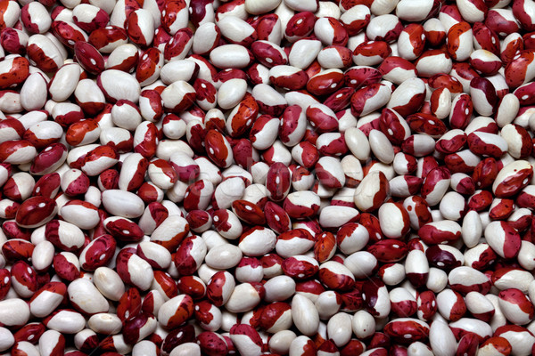 Haricot beans background Stock photo © BSANI