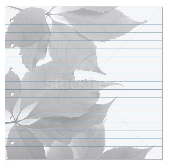 Notebook paper with virginia creeper leaf on background Stock photo © BSANI