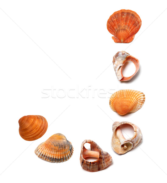 Letter J composed of seashells Stock photo © BSANI