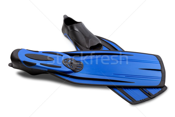Two flippers for diving Stock photo © BSANI