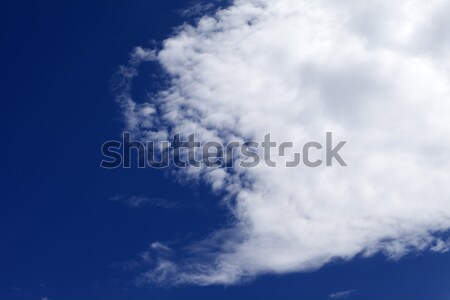 Blue sky grande nuvem verão dia paisagem Foto stock © BSANI